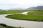 湿地公园