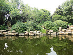 公园一角 自然风景