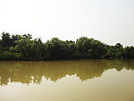 西溪湿地 风景