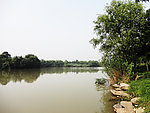 西溪湿地 风景