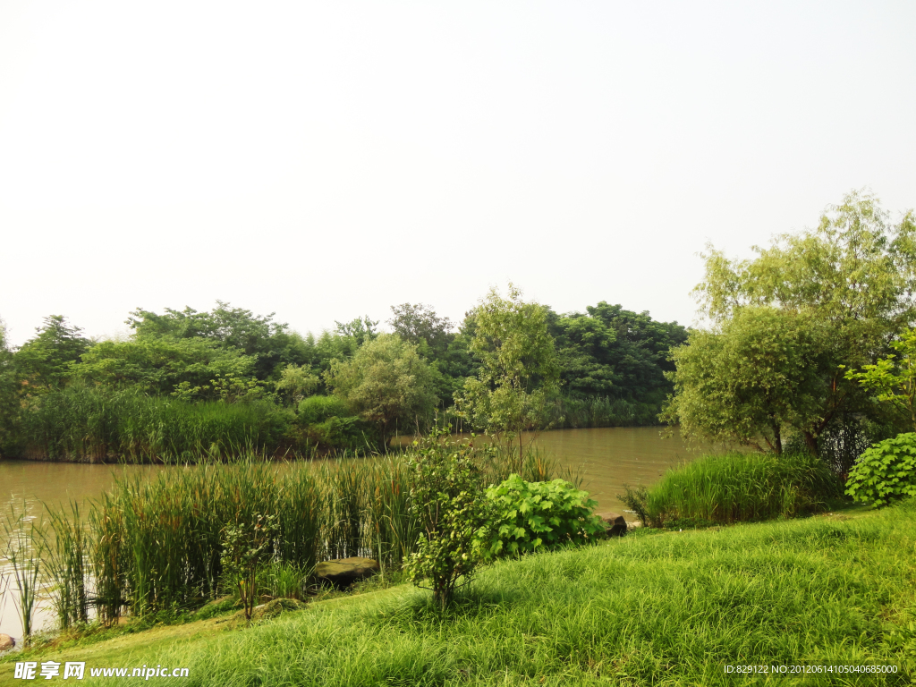 自然风景 西溪湿地