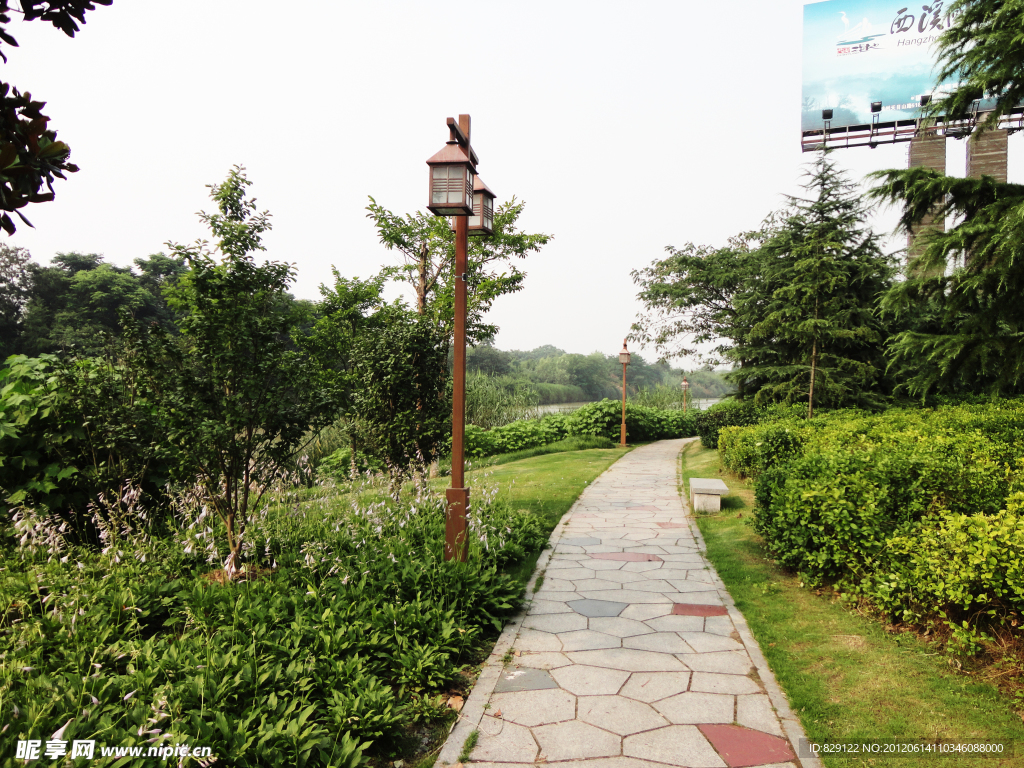 自然风景 西溪湿地