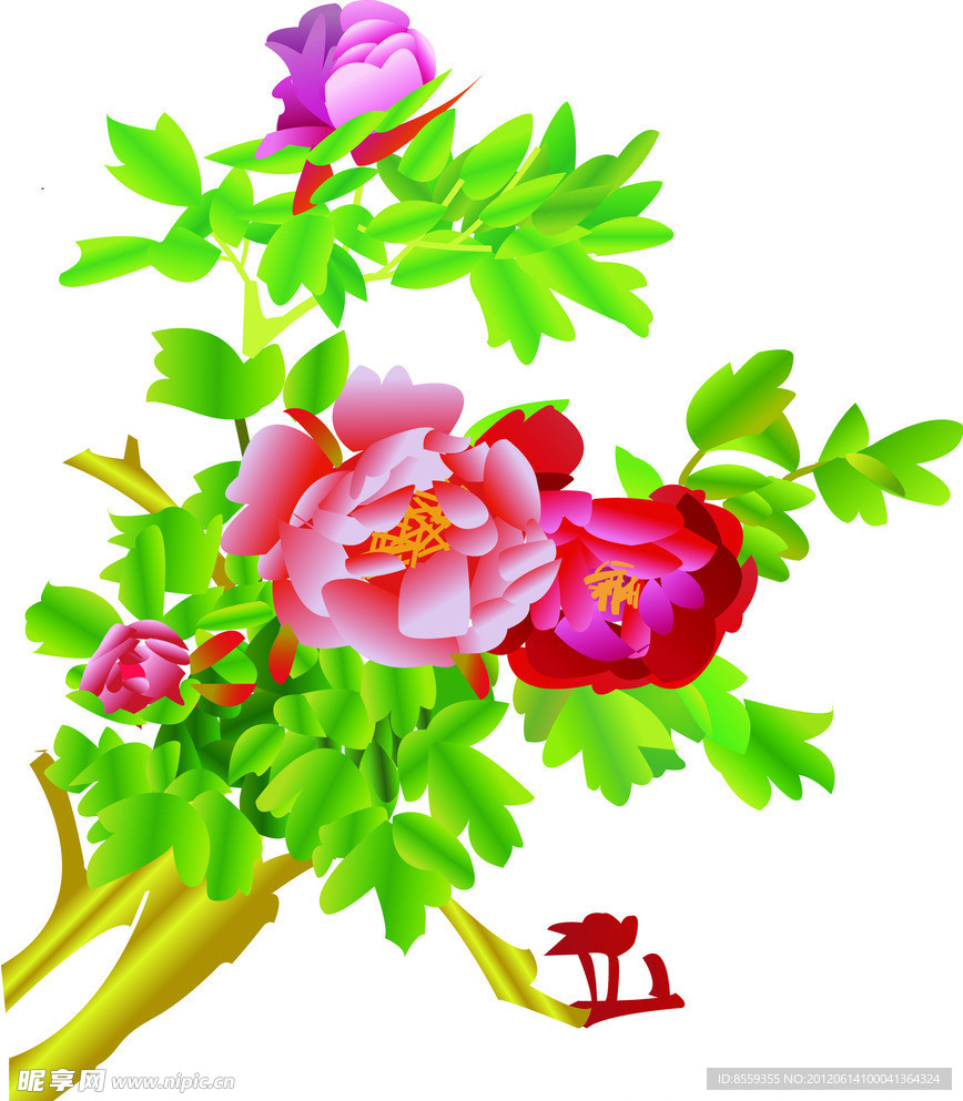 牡丹花