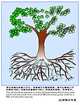 5s管理漫画寓言漫画 5s管理展板