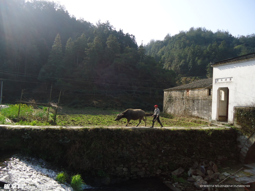 沱川风景