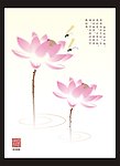荷花