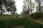 驳岸一组
