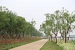 驳岸一组