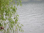 西湖美景