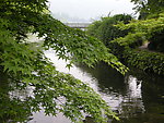 西湖美景