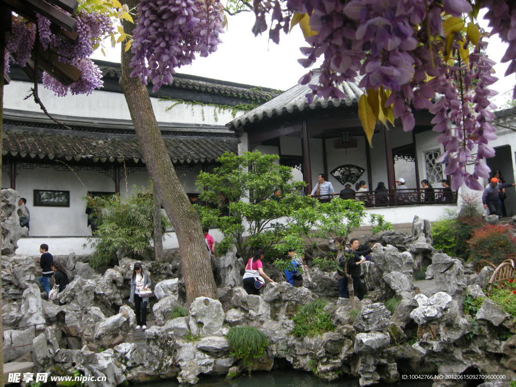 花与石