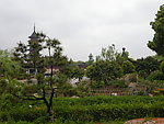 松塔