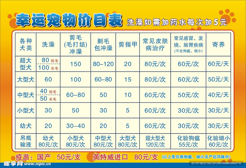 养狗价目表