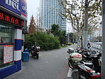 上海街头游园绿地照片