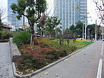 公园景观参考图片