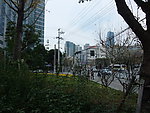 上海街头游园绿地照片