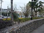 上海街头游园绿地照片
