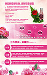 玫瑰精油网页设计