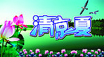 清凉一夏