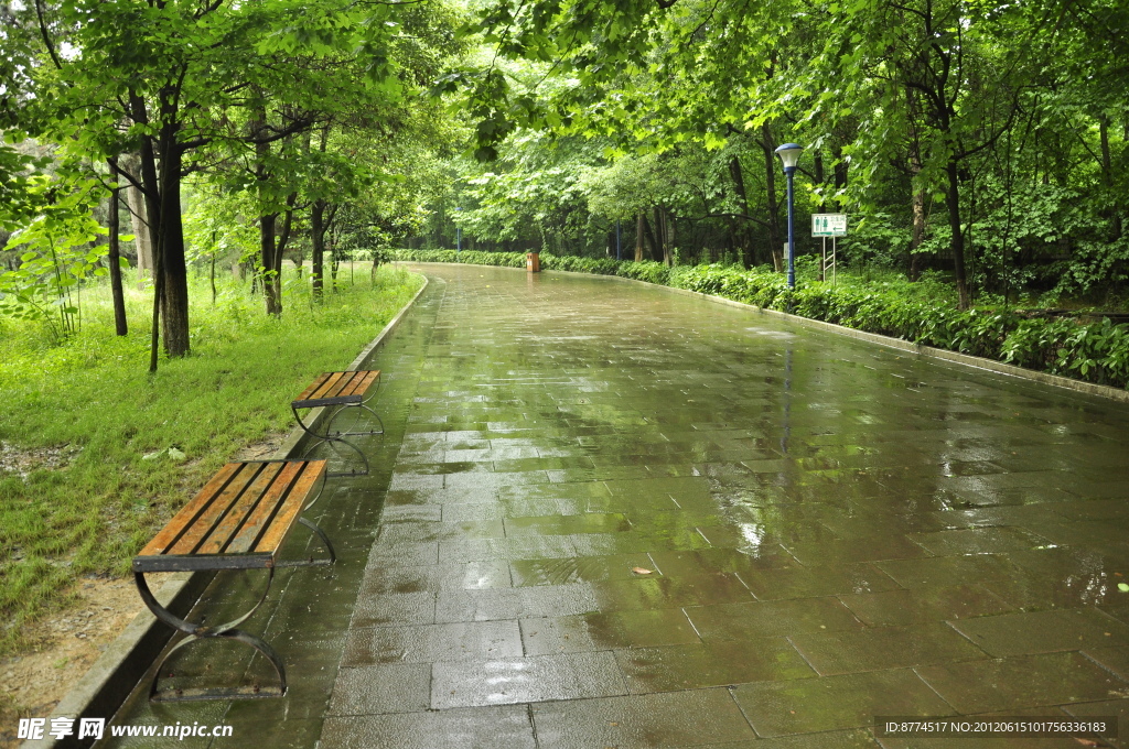 雨中