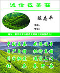 茶 名片