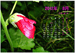 2012年8月日历
