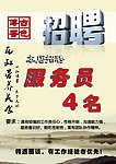 招聘海报