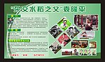 袁隆平 水稻之父 展板