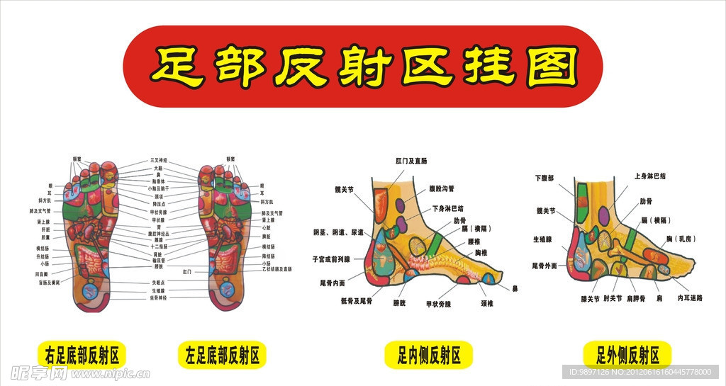 脚穴图