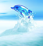海豚