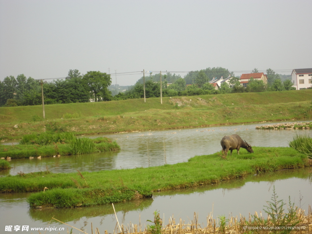 小河夏景