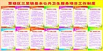 国家基本公共卫生服务各项目制度