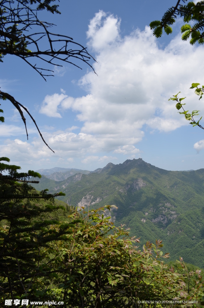 沣峪分水岭