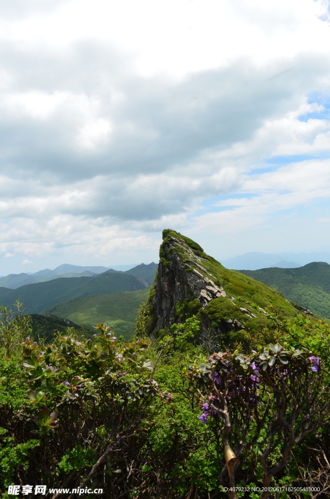 沣峪分水岭