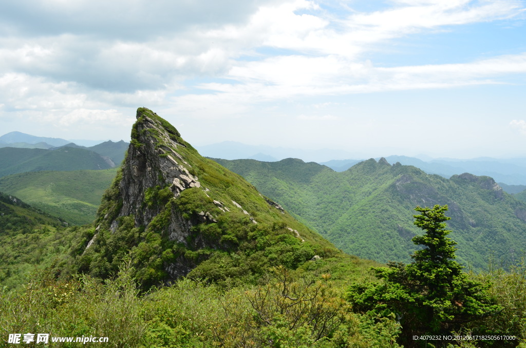 高山草甸