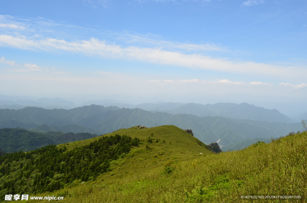 高山草甸