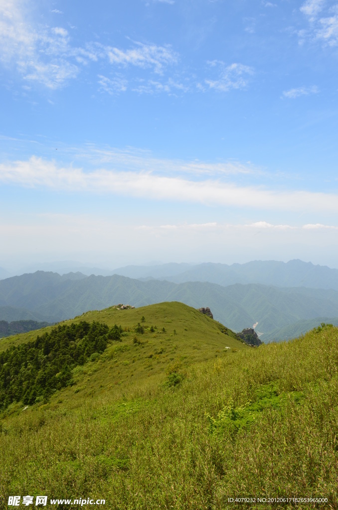 高山草甸