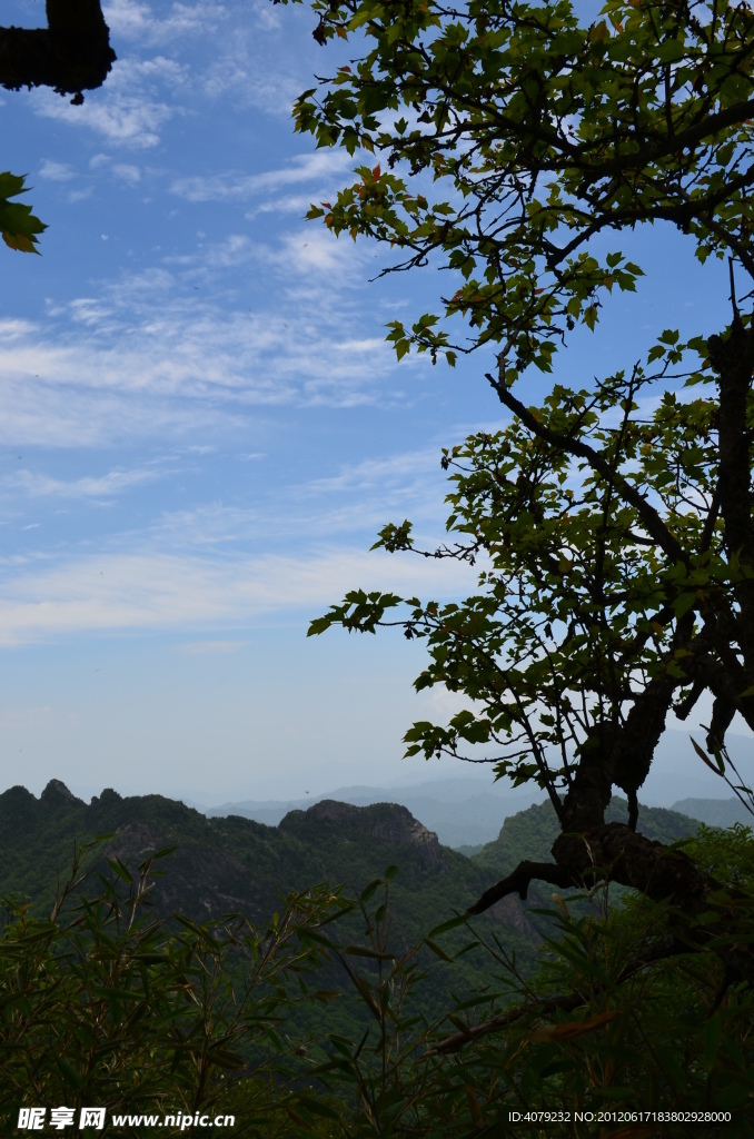 沣峪分水岭