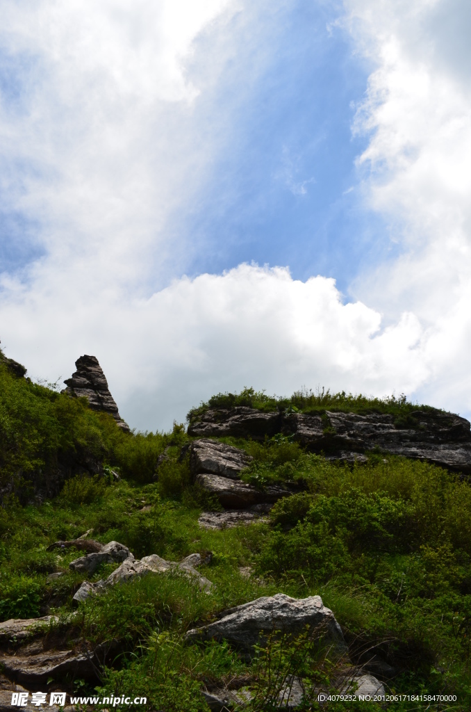 仰视高山