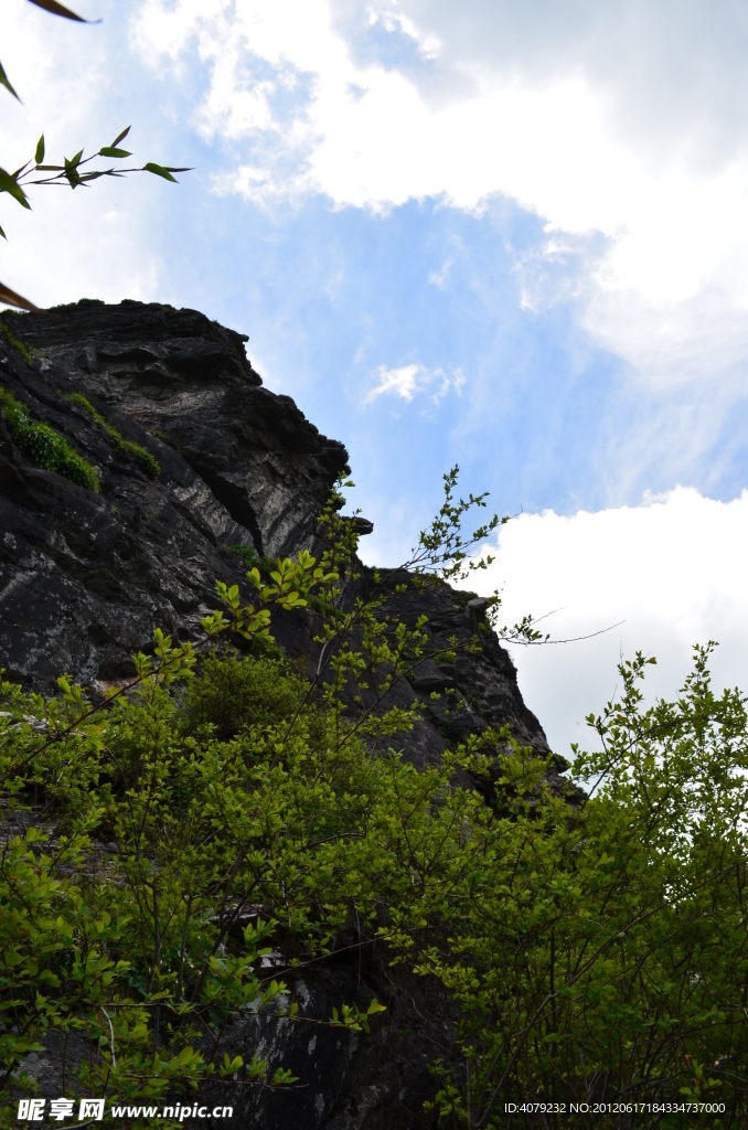 仰视高山