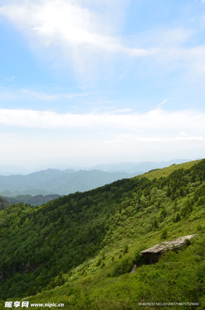 高山草甸