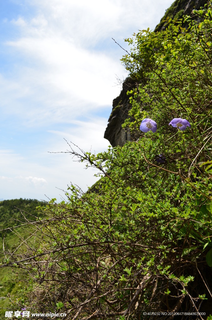 沣峪分水岭