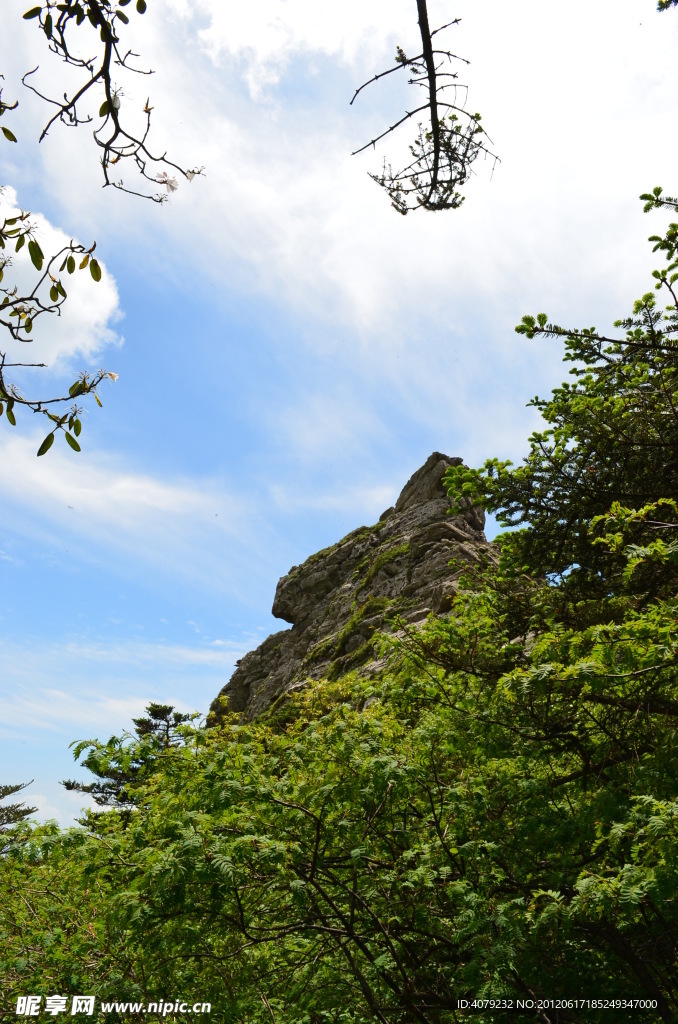 沣峪分水岭