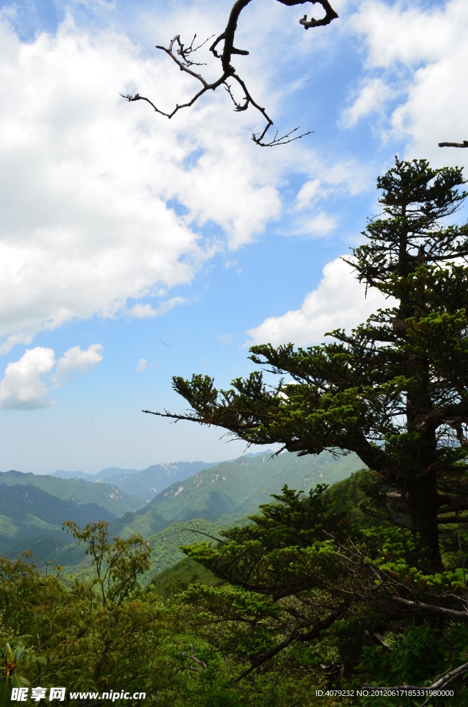 沣峪分水岭