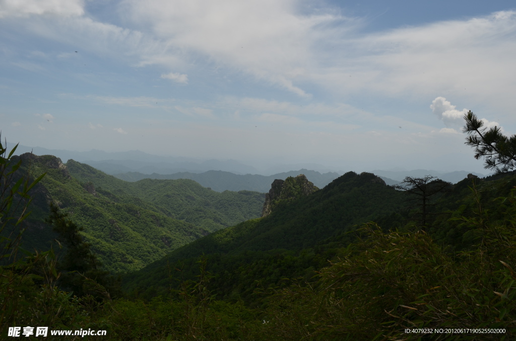 沣峪分水岭高山草甸