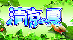 清凉一夏