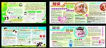 儿童保健