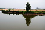 田间的河流