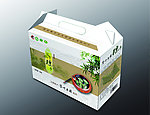 粽子礼盒（平面图）