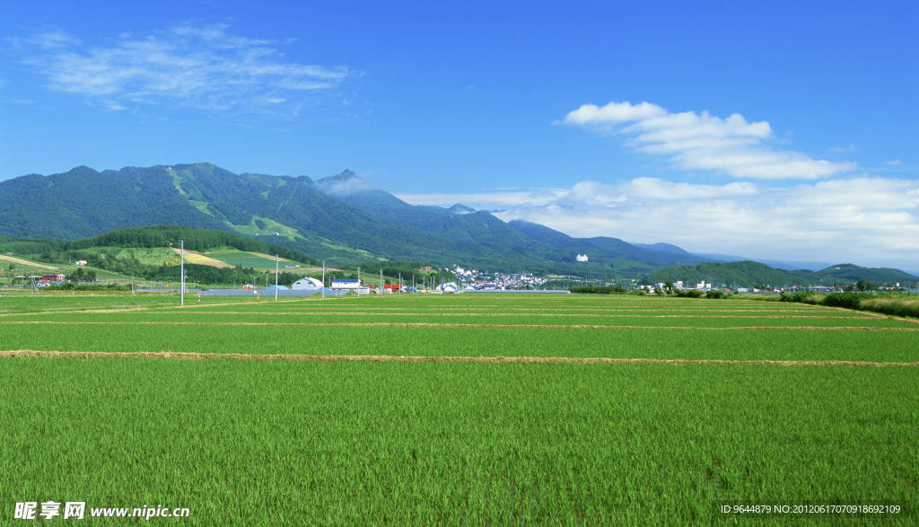 高清田野风光摄影